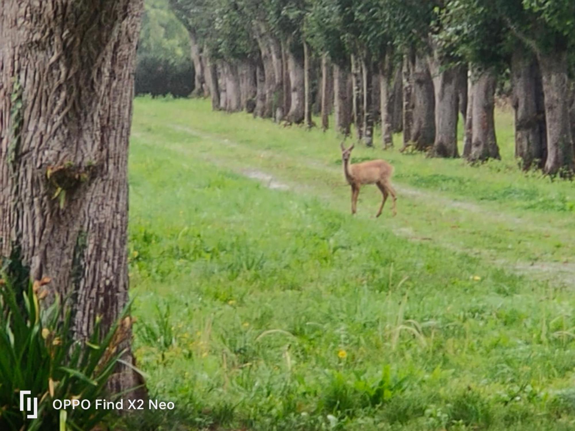 Domaine Du Manoir De Vains Hotel ภายนอก รูปภาพ