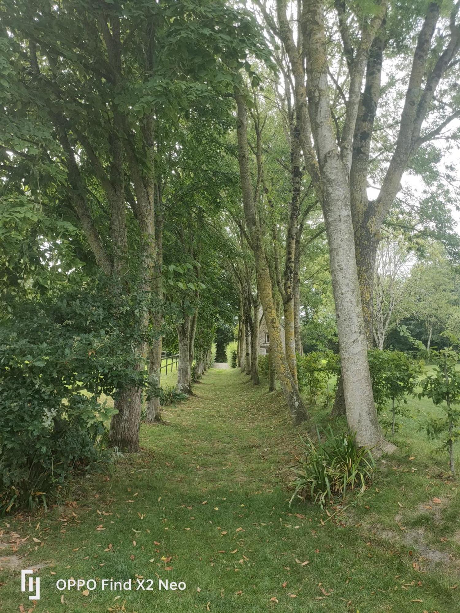 Domaine Du Manoir De Vains Hotel ภายนอก รูปภาพ