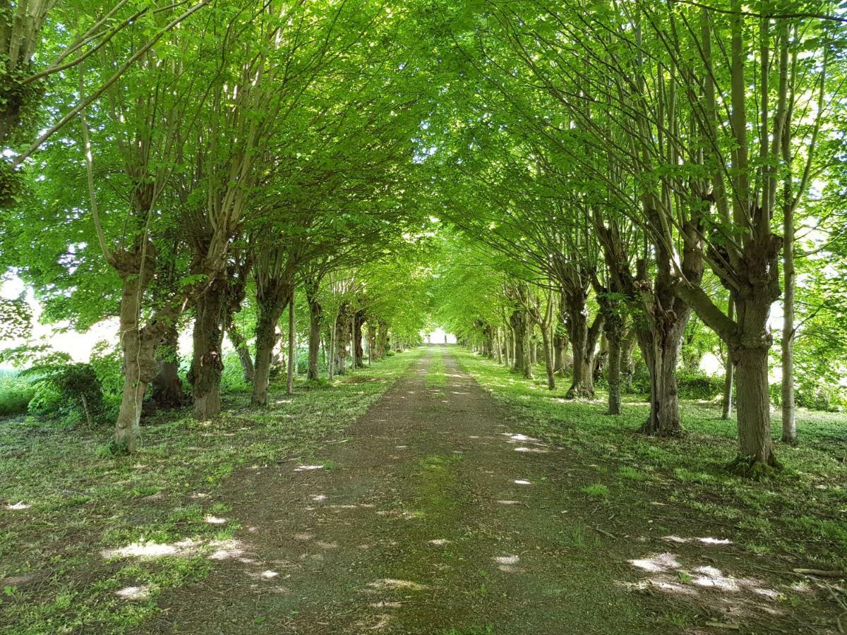 Domaine Du Manoir De Vains Hotel ภายนอก รูปภาพ