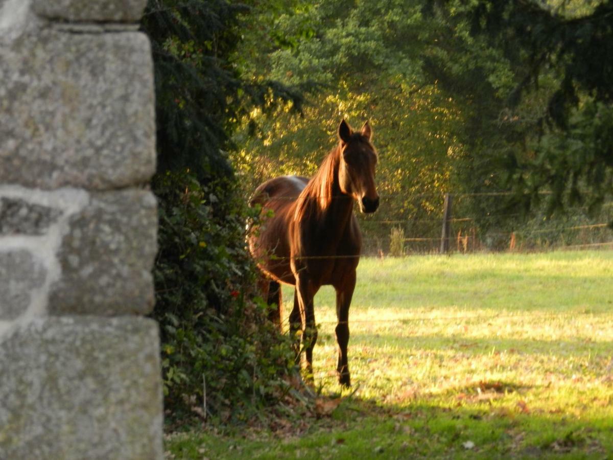 Domaine Du Manoir De Vains Hotel ภายนอก รูปภาพ