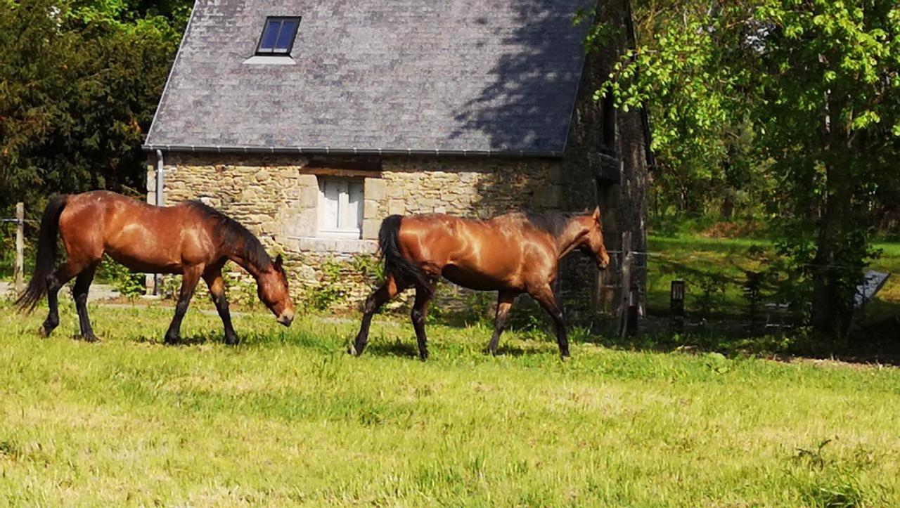 Domaine Du Manoir De Vains Hotel ภายนอก รูปภาพ